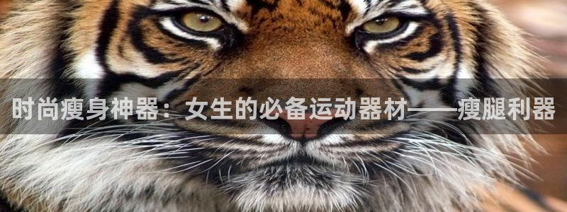 fb体育招商电话是多少：时尚瘦身神器：女生的必备运动器材——