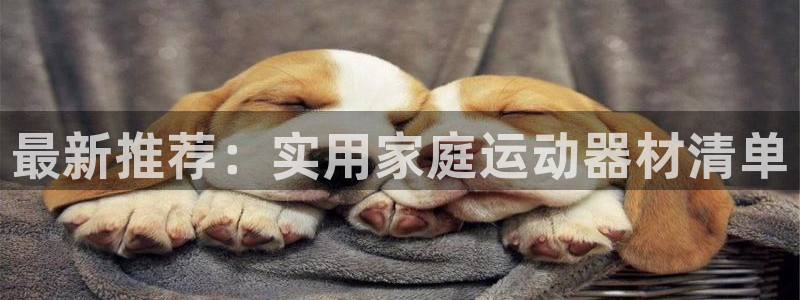 fb体育是干嘛的公司