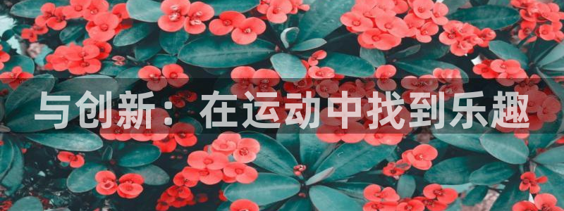 fb体育平台注册要钱吗：与创新：在运动中找到乐趣