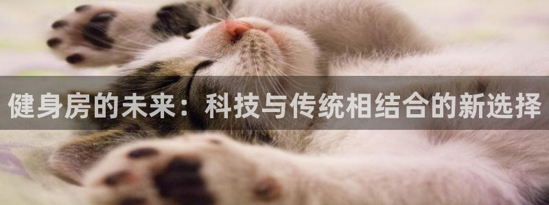 fb体育招商电话：健身房的未来：科技与传统相结合的新选择