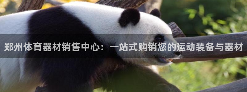 fb体育科技：郑州体育器材销售中心：一站式购销您的运动装备与