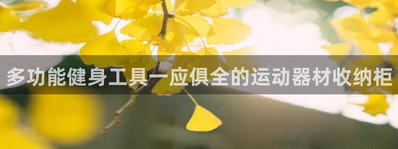 fb体育平台APP：多功能健身工具一应俱全的运动器材收纳柜