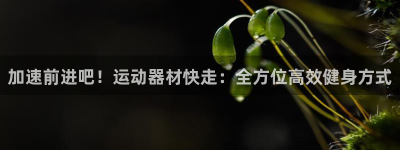 fb体育招商电话是多少号码
