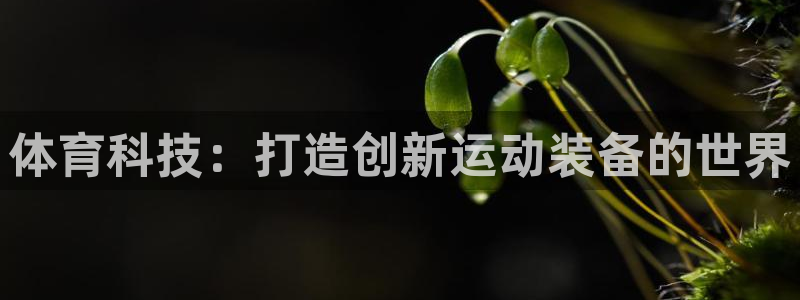 fb体育平台假的吗是真的吗吗：体育科技：打造创新运动装备的世