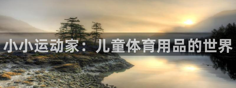 fb体育开户：小小运动家：儿童体育用品的世界