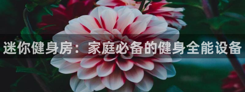 fb体育娱乐：迷你健身房：家庭必备的健身全能设备