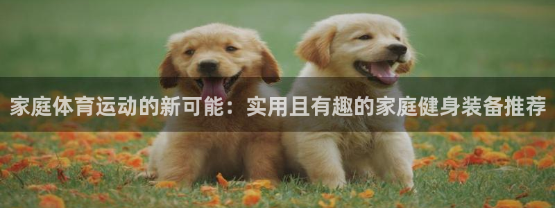 fb体育平台假的吗是真的吗吗：家庭体育运动的新可能：实用且有