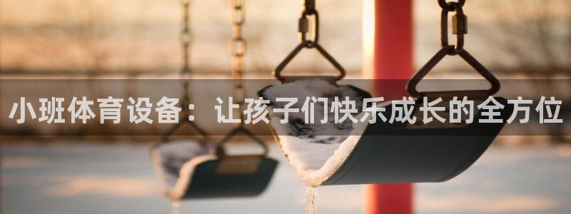 fb体育集团简介：小班体育设备：让孩子们快乐成长的全方位