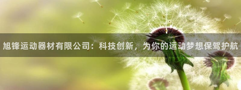 fb体育娱乐是那个系列的台子：旭锋运动器材有限公司：科技创新