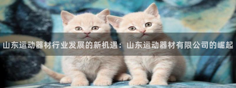 fb体育平台注册流程图：山东运动器材行业发展的新机遇