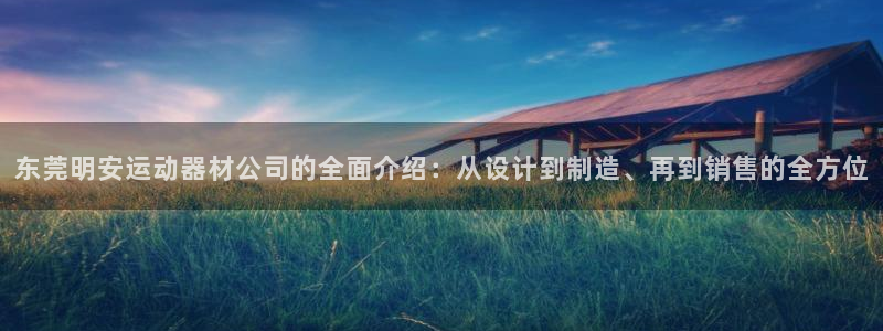 fb体育软件：东莞明安运动器材公司的全面介绍：从设计到制造、