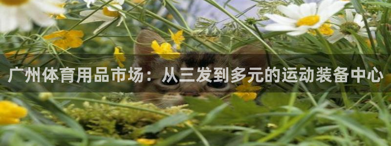 fb体育娱乐代理怎么样