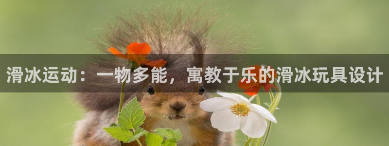 fb体育是干嘛的公司：滑冰运动：一物多能，寓教于乐的滑冰玩具
