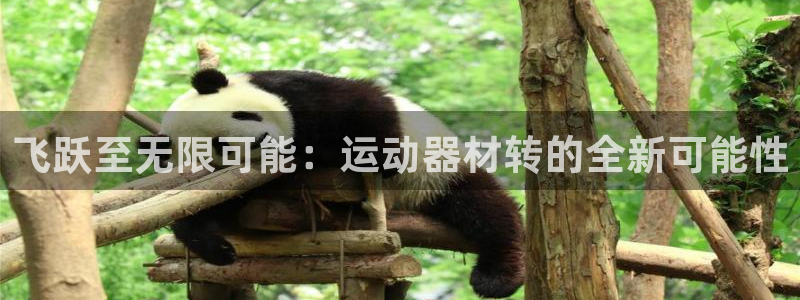 fb体育招商电话号码是多少