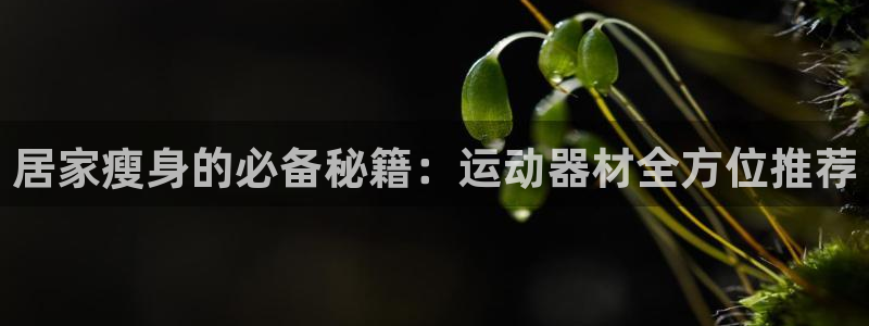 fb体育娱乐代理怎么样：居家瘦身的必备秘籍：运动器材全方位推