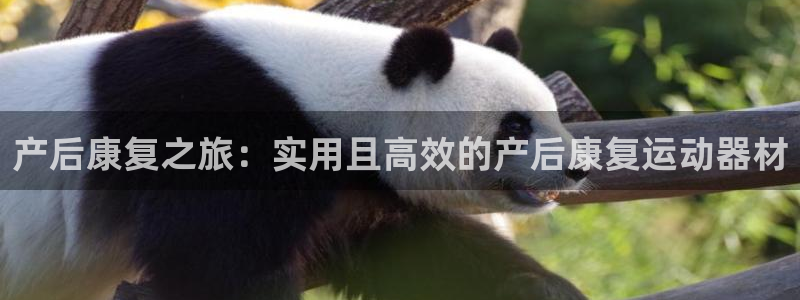 fb体育联系电话：产后康复之旅：实用且高效的产后康复运动器材