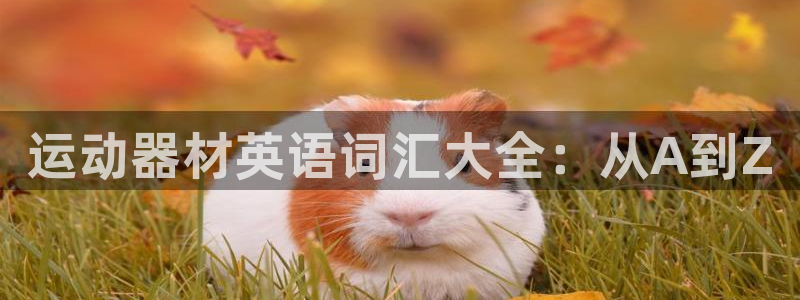 fb体育集团：运动器材英语词汇大全：从A到Z